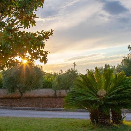 Bed and Breakfast La Volpina Martina Franca Zewnętrze zdjęcie
