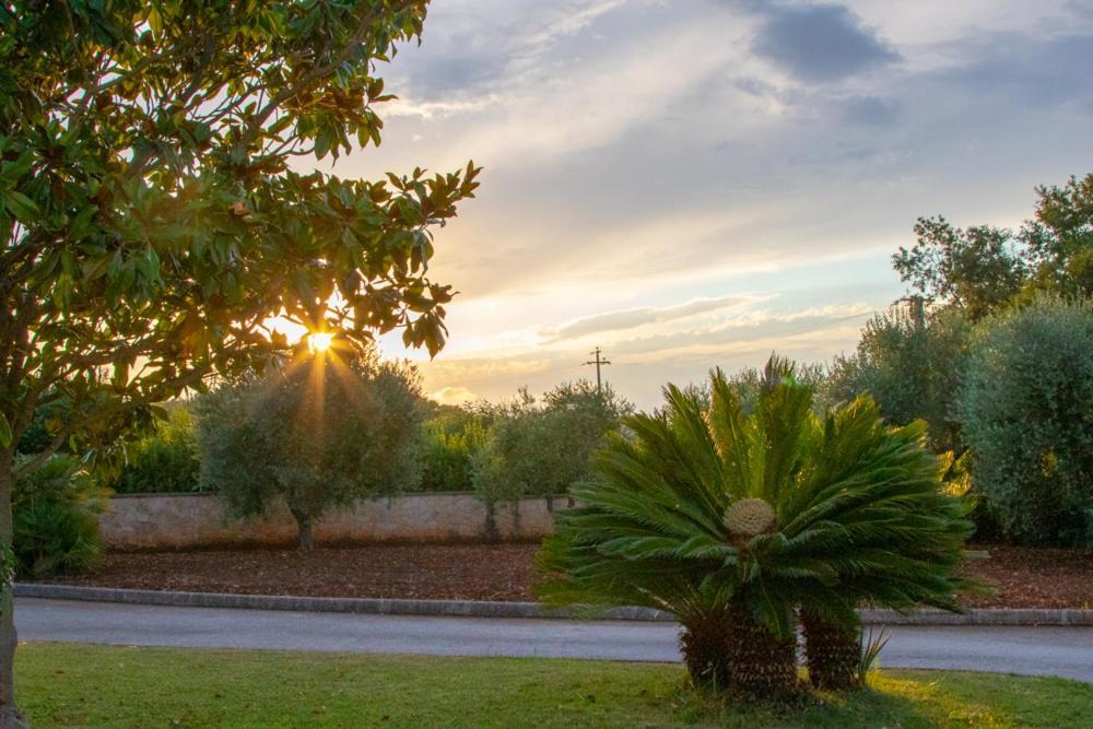 Bed and Breakfast La Volpina Martina Franca Zewnętrze zdjęcie