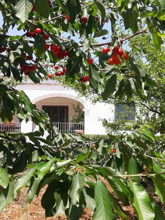Bed and Breakfast La Volpina Martina Franca Zewnętrze zdjęcie